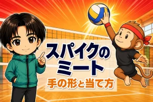 スパイクのミート 手の形と当て方 - あげば・サルくんが解説