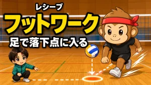 レシーブのフットワーク・足で落下点に入るコツを元日本代表が解説