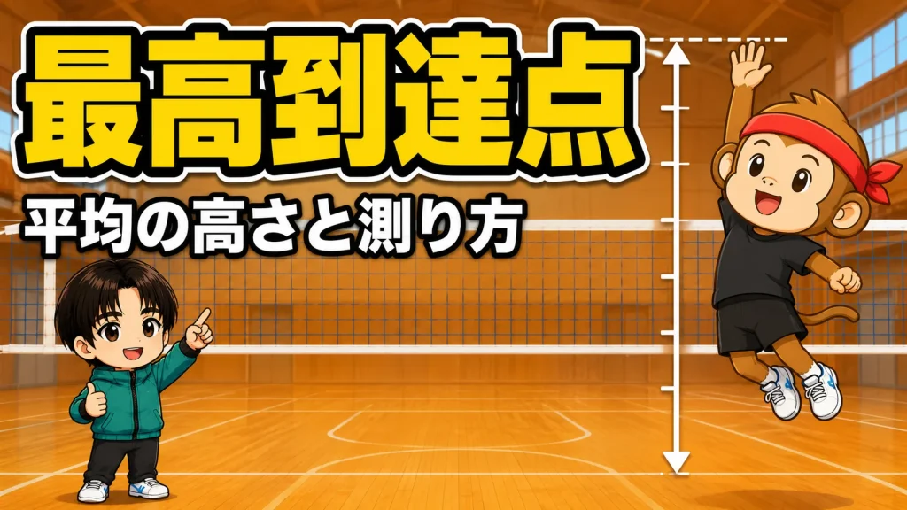 バレーの最高到達点とは・平均の高さと測り方と目標を元日本代表が解説