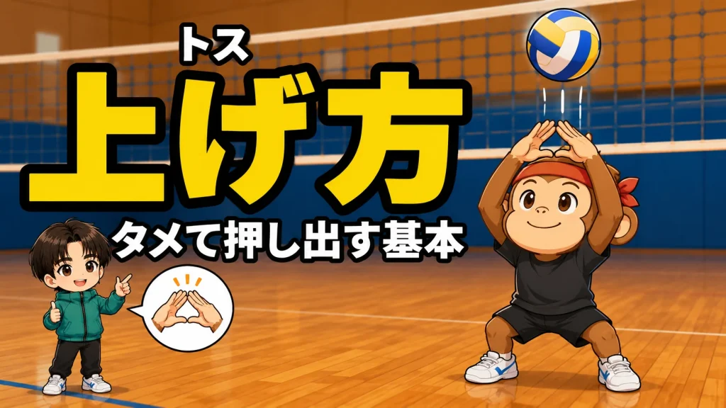 トスの上げ方・タメて押し出す基本フォームのコツを元日本代表が解説
