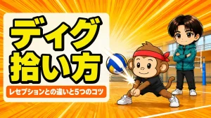 バレーのディグとレセプションの違いと拾い方を解説するアイキャッチ