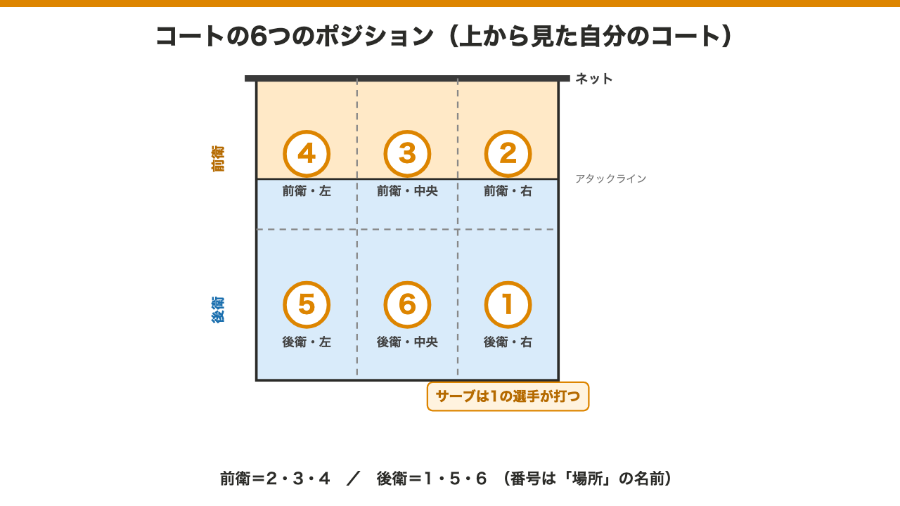 バレーボールコートを6分割したポジション番号の配置図。前衛が左から4・3・2、後衛が左から5・6・1で、サーブはポジション1の選手が打つ