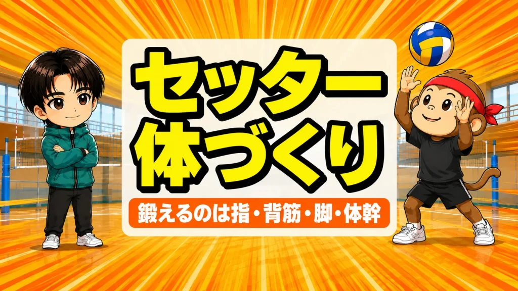 セッターに必要な体づくりで鍛える指・背筋・脚力・体幹の4つの力