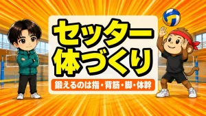 セッターに必要な体づくりで鍛える指・背筋・脚力・体幹の4つの力