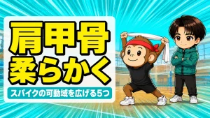 バレーの肩甲骨ストレッチで可動域を広げる方法を解説するアイキャッチ