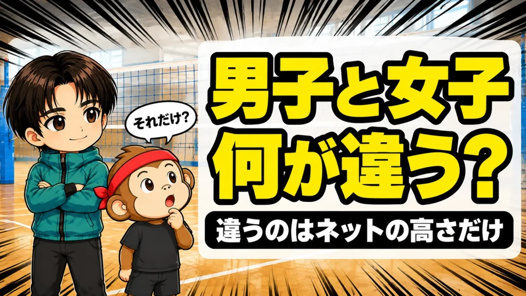 男子バレーと女子バレーの違いをネットの高さから比べる図解