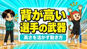 バレーで背が高い選手が高さを武器にする動き方の解説