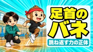 足首のバネ 跳ね返す力の正体