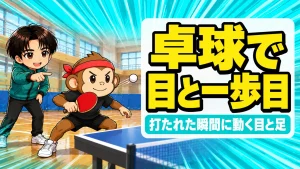 バレーに卓球は効果ある?卓球台の前で低く構えてボールを目で追うサルくんと見守るあげば